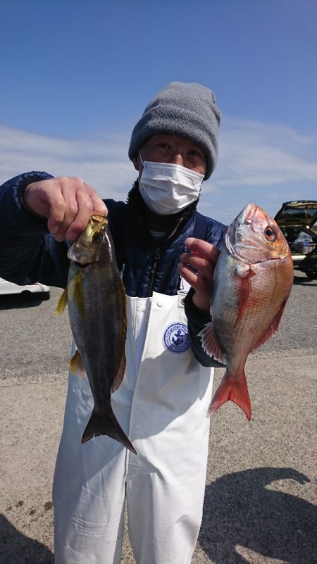 第三共栄丸 釣果