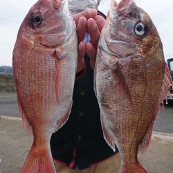 第三共栄丸 釣果