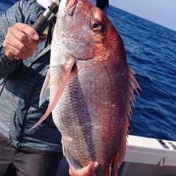 海皇丸 釣果