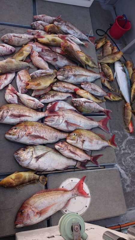 海皇丸 釣果