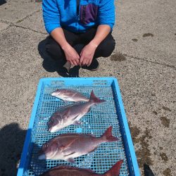 第三共栄丸 釣果