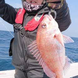 だて丸 釣果