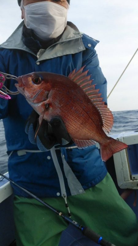 新幸丸 釣果