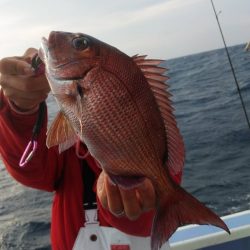 新幸丸 釣果