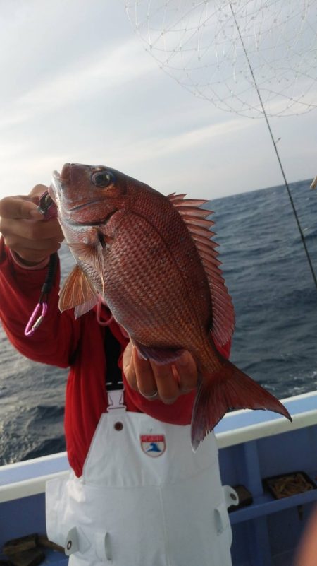 新幸丸 釣果