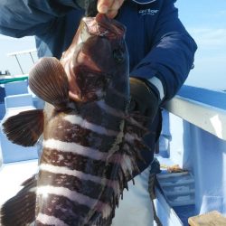 新幸丸 釣果