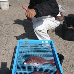 第三共栄丸 釣果