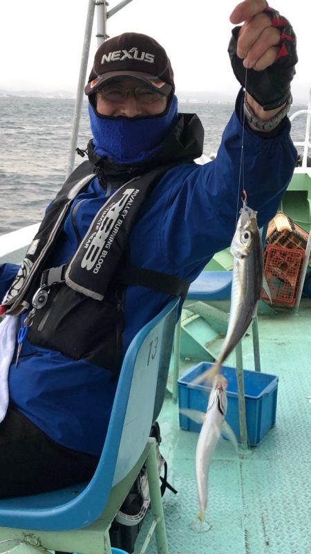 ヤザワ渡船 釣果