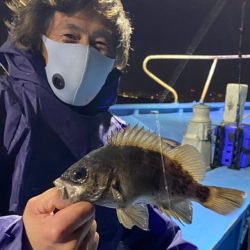 ヤザワ渡船 釣果