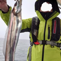 シースナイパー海龍 釣果