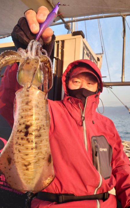 シースナイパー海龍 釣果