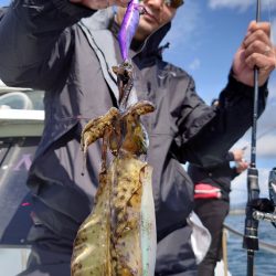 シースナイパー海龍 釣果