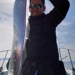 シースナイパー海龍 釣果