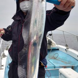 シースナイパー海龍 釣果