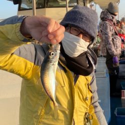 ヤザワ渡船 釣果