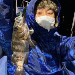 ヤザワ渡船 釣果