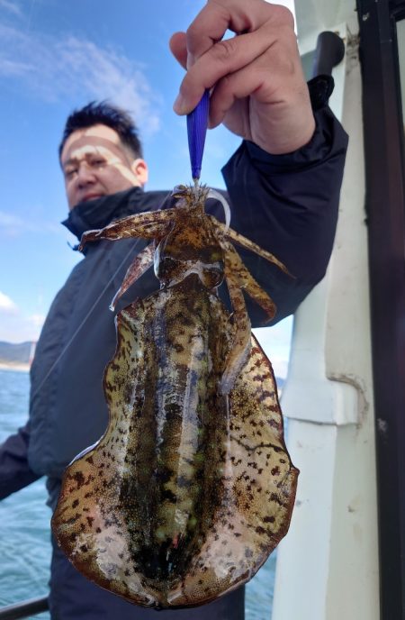 シースナイパー海龍 釣果