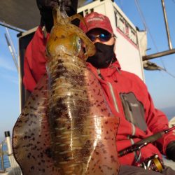 シースナイパー海龍 釣果
