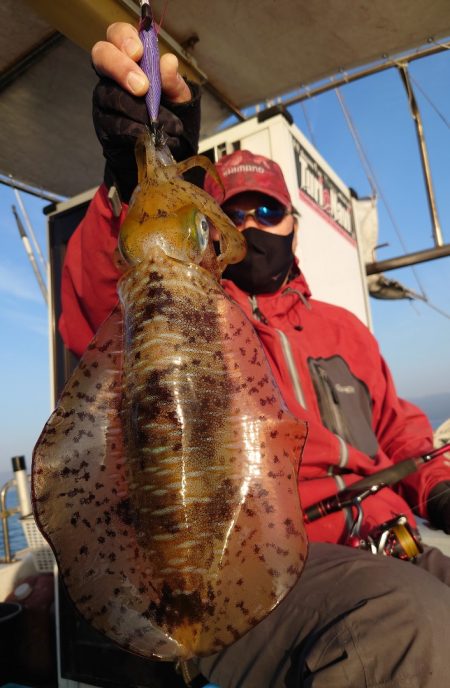 シースナイパー海龍 釣果