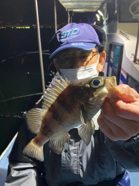 ヤザワ渡船 釣果