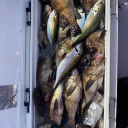 海龍丸（石川） 釣果