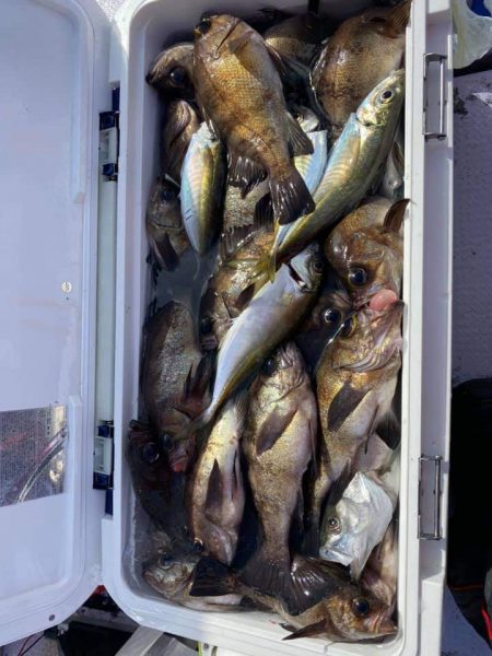 海龍丸（石川） 釣果