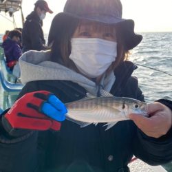 ヤザワ渡船 釣果
