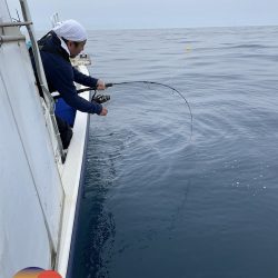 幕島丸 釣果
