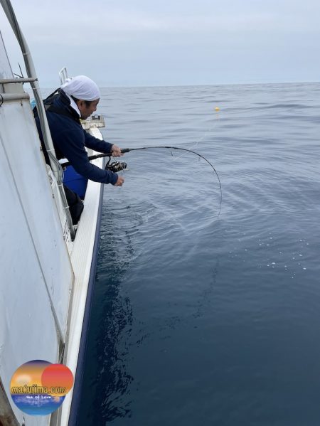 幕島丸 釣果