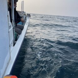 幕島丸 釣果