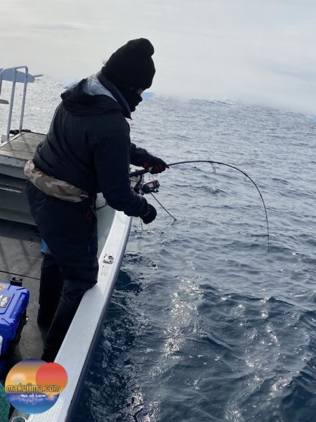 幕島丸 釣果