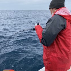 幕島丸 釣果