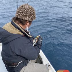 幕島丸 釣果
