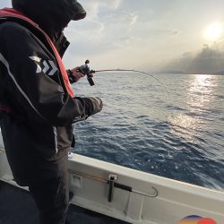 幕島丸 釣果