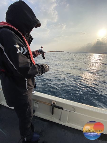 幕島丸 釣果