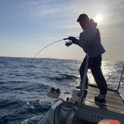 幕島丸 釣果