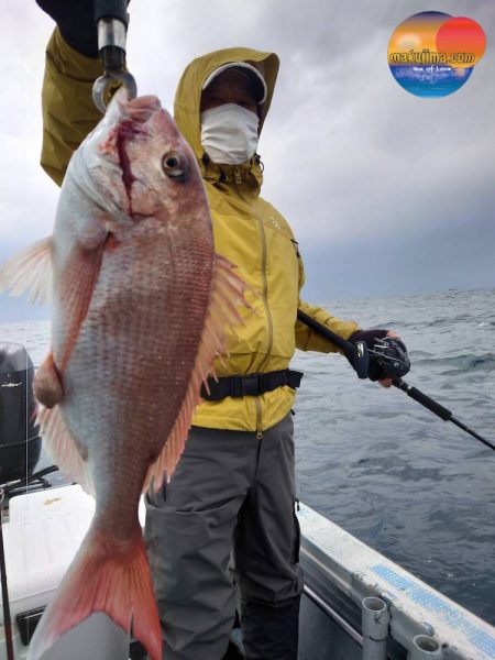 幕島丸 釣果