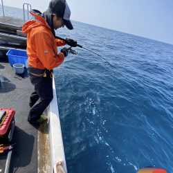 幕島丸 釣果