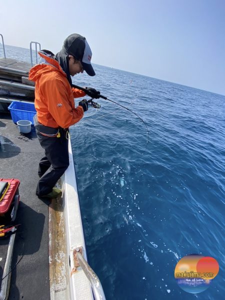 幕島丸 釣果