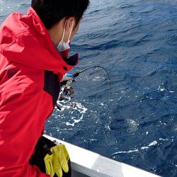 幕島丸 釣果
