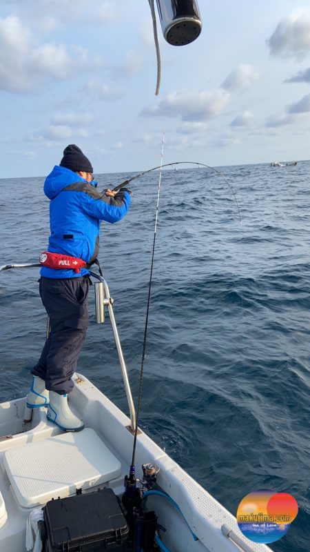 幕島丸 釣果
