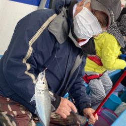 ヤザワ渡船 釣果