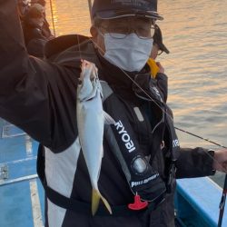 ヤザワ渡船 釣果