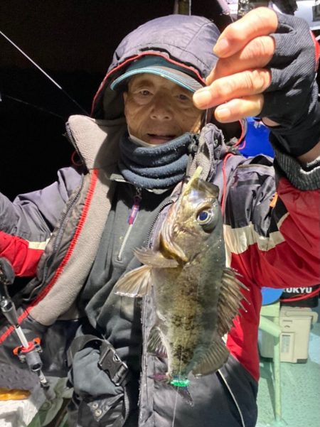 ヤザワ渡船 釣果