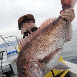 シーライオン 釣果