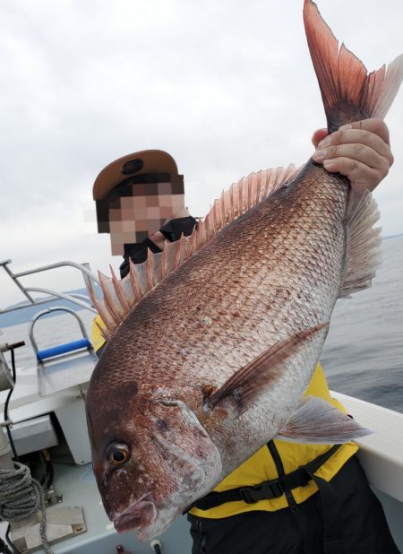 シーライオン 釣果