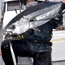 渡船屋たにぐち 釣果