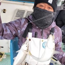 ヤザワ渡船 釣果