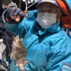 ヤザワ渡船 釣果