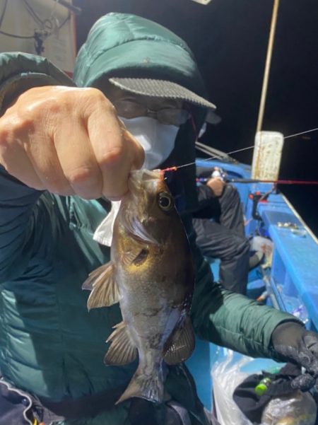 ヤザワ渡船 釣果